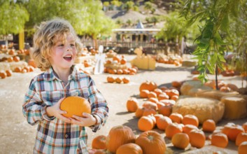 Cute young boy having fun at the pumpkin patch on a sunny fall day