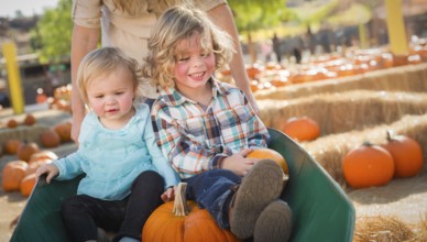 Young children enjoying a sunny fall day at the pumpkin patch