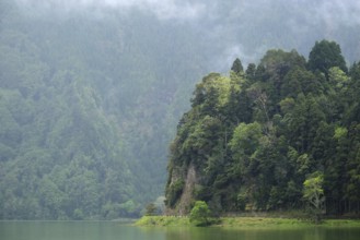 At Lagoa Azul, Sete Cidades, SÃ£o Miguel, Azores, Portugal