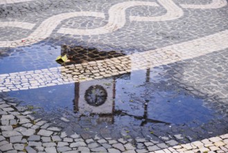 Tower of the town hall reflected in a puddle, Ponta Delgada, SÃ£o Miguel, Azores, Portugal