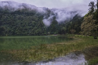 At Lagoa Azul, Sete Cidades, SÃ£o Miguel, Azores, Portugal