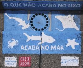 Small painting in the marina of Ponta Delgada (What doesn't end up in the rubbish ends up in the