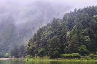 At Lagoa Azul, Sete Cidades, SÃ£o Miguel, Azores, Portugal