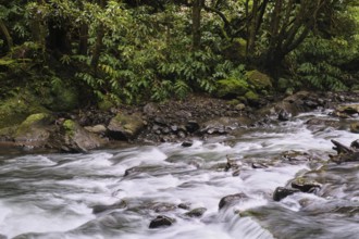 Torrent, Salto do Cabrito waterfall, SÃ£o Miguel, Azores, Portugal