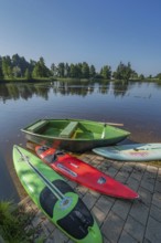 Surfboards and rowing boat in the ArgenbÃ¼hl moor pool near Eisenharz, Baden-WÃ¼rttemberg, Germany