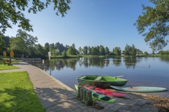 Surfboards and rowing boat in the ArgenbÃ¼hl moor pool near Eisenharz, Baden-WÃ¼rttemberg, Germany