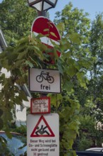 Street lamp and overgrown traffic sign, no entry, free for bicycles, Isny, Swabia,