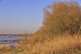 Tranquil river landscape with people sitting on the bank enjoying the late afternoon sun,