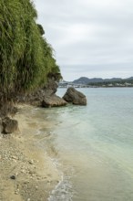 Lover Beach, volcanic rocks and vegetation on the beach of Sesoko-jima, Sesoko Island, Motobu,
