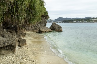 Lover Beach, volcanic rocks and vegetation on the beach of Sesoko-jima, Sesoko Island, Motobu,