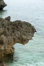 Sesoko's tail, rock formation, rugged cliffs of volcanic rock at the southern tip of Sesoko-jima,