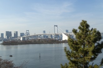 Landmark, Architecture, View of the Rainbow Brigde over Tokyo Bay, Odaiba, Minato City, Tokyo,