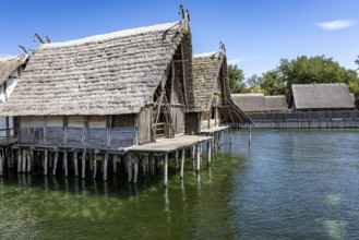 Traditional stilt house towers over shimmering green water in tranquil surroundings, Lake Dwellings