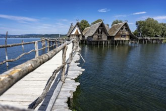 Wooden walkway leads to traditional stilt houses surrounded by calm water, pile dwellings