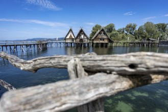 Pile dwellings protrude into the water, embedded in a picturesque lake and hilly landscape,