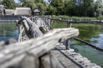 Wooden bridge near huts offers views of green water and dense vegetation, pile dwellings at