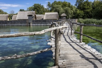 Wooden bridge leads over clear water to thatched huts surrounded by trees, pile dwellings