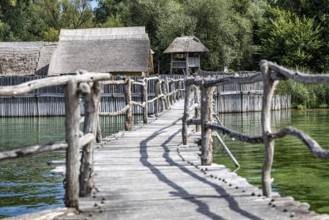 Rustic wooden bridge leads through lush vegetation over the water, pile dwellings Unteruhldingen