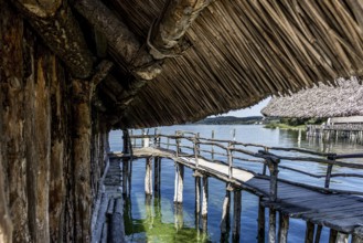 Rustic wooden path under a thatched roof with a view of the water, pile dwellings Unteruhldingen