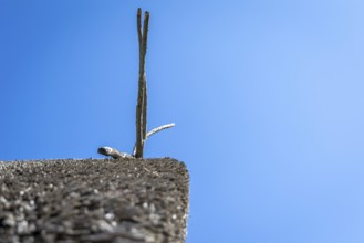 Minimalist photograph of a wooden roof in front of a blue sky, Lake Dwellings Unteruhldingen
