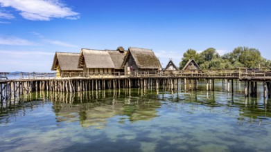 Historic pile dwellings on the shore of a lake with reflecting water, pile dwellings Unteruhldingen