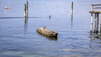 Small boat and birds on a calm lake under a blue sky, pile dwellings Unteruhldingen Open Air Museum