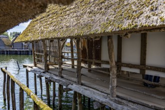 Traditional wooden pile hut with thatched roof extends over water, creates shade, pile dwellings