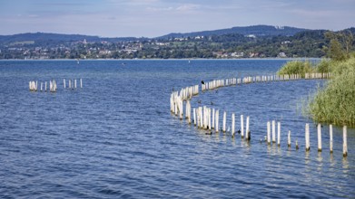 Piles protruding from the blue lake, with hills and sky in the background, pile dwellings