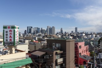 Modern architecture, view over the rooftops of the city to the glass facades of skyscrapers against