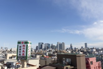 Modern architecture, view over the rooftops of the city to the glass facades of skyscrapers against