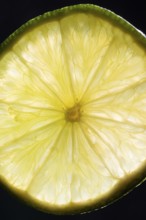 Slice of lime in the neckline