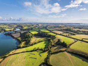 Farms and Fields over St Mawes from drone, Carrick Roads, River Fal, Falmouth, Cornwall, UK