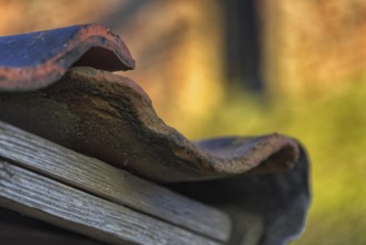 Detail of an old roof with missing tiles in warm light, Krefeld