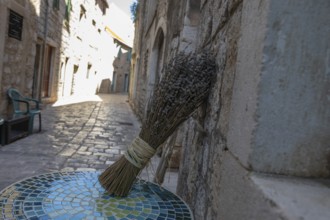 Lavender in bloom, alley in the old town centre, Starigrad, island of Hvar, Dalmatia, Croatia