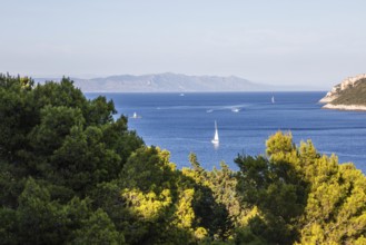 View from the island of Vis to the island of Hvar, sailing ships off the bay of the town of Vis,