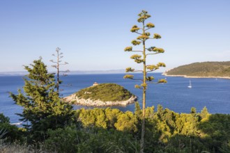View from the island of Vis to the island of Hvar, sailing ships off the bay of the town of Vis,
