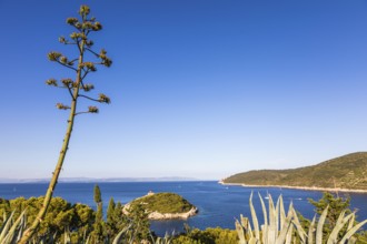 View from the island of Vis to the island of Hvar, small offshore island in the bay of the town of