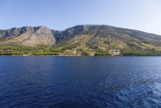 View from the sea of vineyards on the coast of the island of Hvar, near Ivan Dolac, Hvar, Dalmatia,