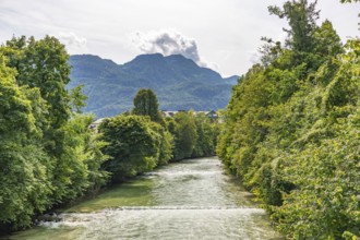 The river Enns between green trees with mountains in the background, Bad Ischl, Upper Austria,