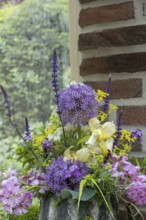 Bouquet with allium, iris and robinia, North Rhine-Westphalia, Germany