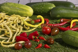 Vegetable mix of yellow beans, cucumbers, tomatoes, peppers and courgettes on green grass