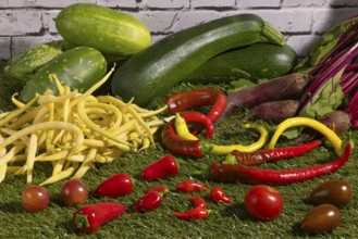 Vegetable mix of yellow beans, beetroot, cucumber, tomatoes, peppers and courgettes on green grass