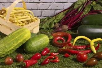 Vegetable mix of yellow beans, beetroot, cucumber, tomatoes, peppers and courgettes on green grass