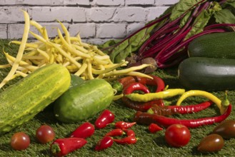 Vegetable mix of yellow beans, beetroot, cucumber, tomatoes, peppers and courgettes on green grass