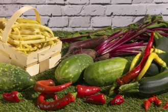 Vegetable mix of yellow beans, beetroot, cucumber, peppers and courgettes on green grass