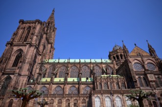South side, Cathedral Notre-Dame, Strasbourg, Strasbourg, Old Town, Bas-Rhin, Grand Est, Alsace,