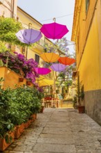 Coloured umbrellas span the Via Cavour, Capoliveri, Elba Island, Tuscan Archipelago National Park,