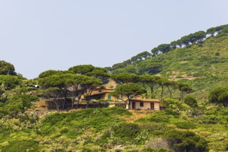 Holiday homes at Punta della Ciarpa, Elba Island, Tuscan Archipelago National Park, Tuscany, Italy