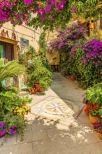Courtyard decorated with flower pots, Capoliveri, Elba Island, Tuscan Archipelago National Park,