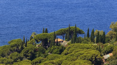 Holiday home directly by the sea, surrounded by umbrella acacias and cypresses, below Capoliveri,